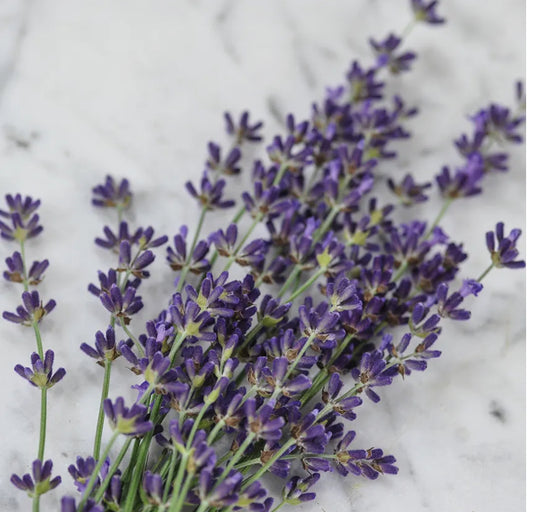 Lavender + Poppy Seed Bath Soak